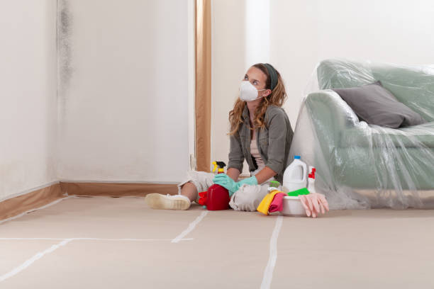 Reliable Basement Mold Remediation contractor in Northport, NY by WQB Mold Removal